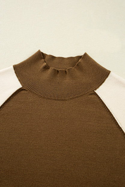 Desert Palm Colorblock Raglan Puff Sleeve Mock Neck Sweater
