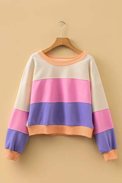 Phalaenopsis Color Block Patchwork Drop Shoulder Cropped Sweatshirt