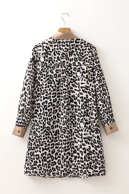 Multicolour Button Striped Collar Leopard Print Long Sleeve Flared Dress