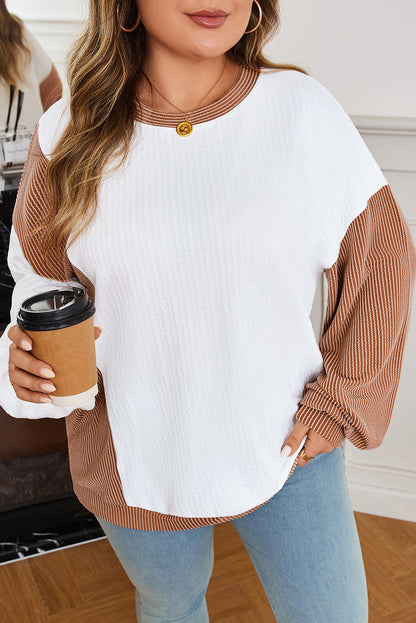 White Cable Texture Ribbed Color Block Plus Size Knit Top