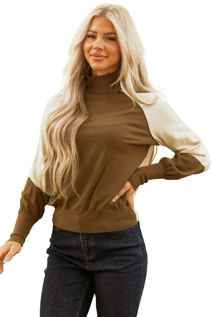 Desert Palm Colorblock Raglan Puff Sleeve Mock Neck Sweater